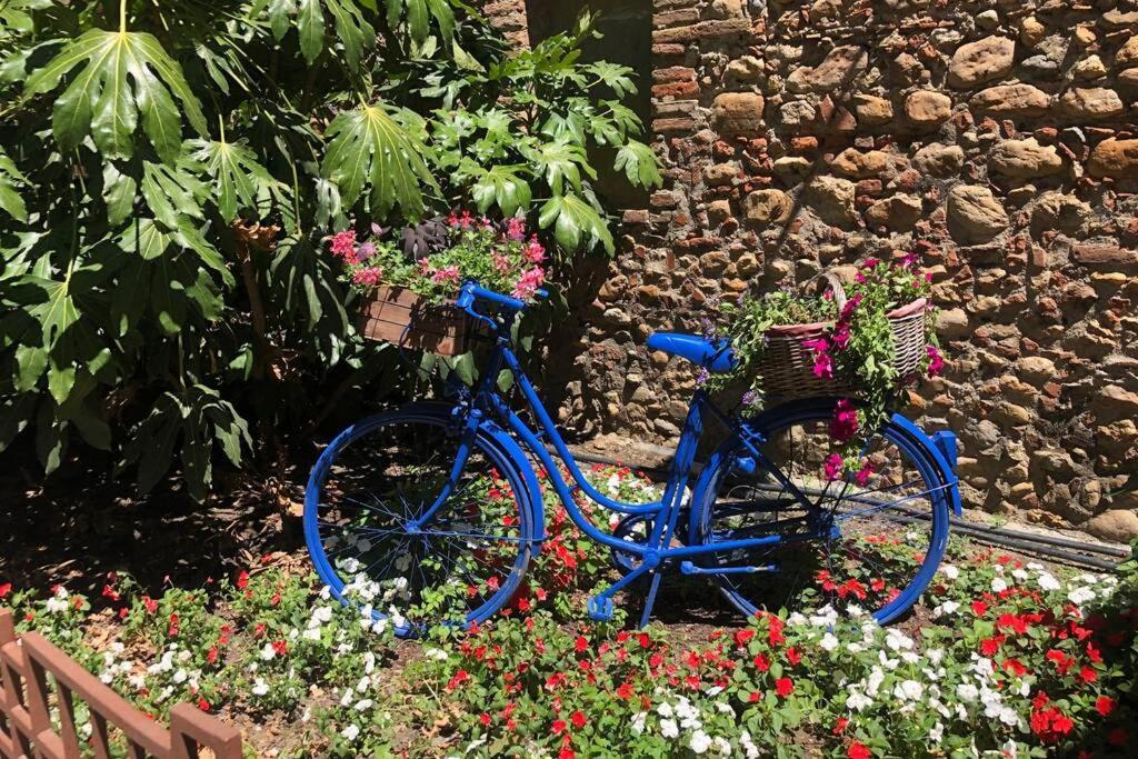 Carrer Del Sol Villa Sainte-Marie-la-Mer Ngoại thất bức ảnh